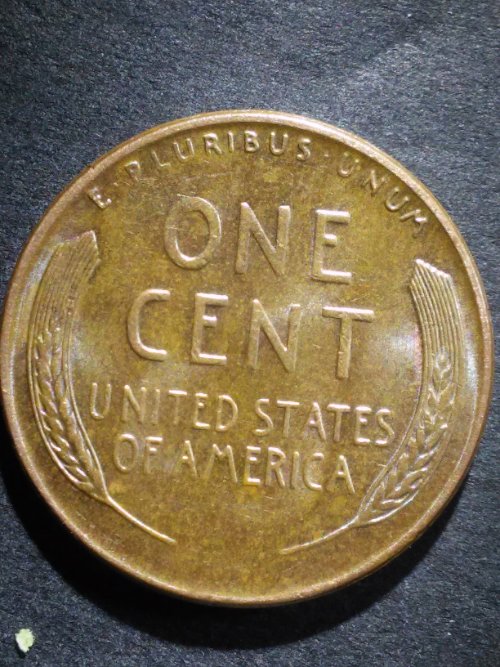 I-Am-Now-A-Proud-Owner-Of-A-1955-DDO
